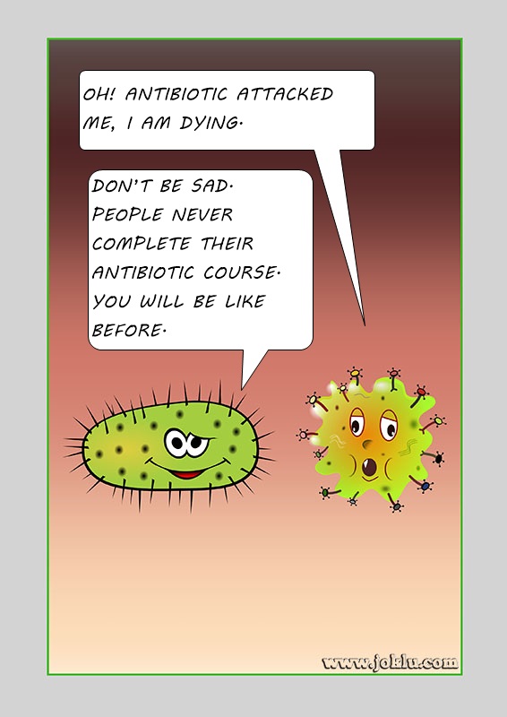 Antibiotic English joke