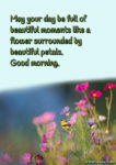 Beautiful petals good morning message