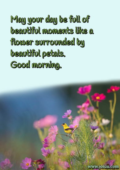 Beautiful petals good morning message