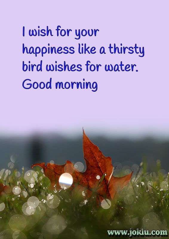 Thirsty bird good morning message