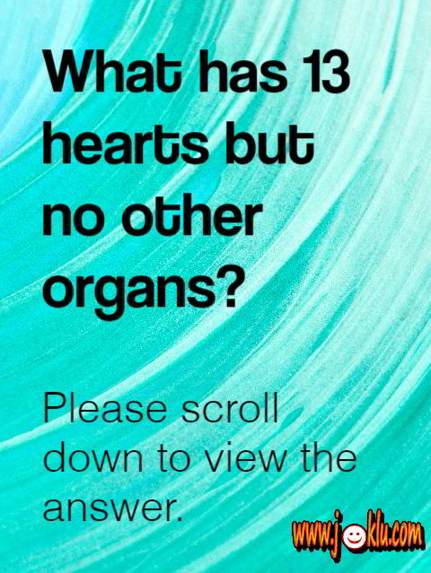 What has thirteen hearts but no other organ riddle