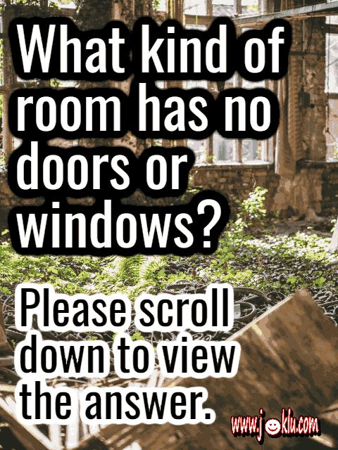 What kind of room has no door riddle