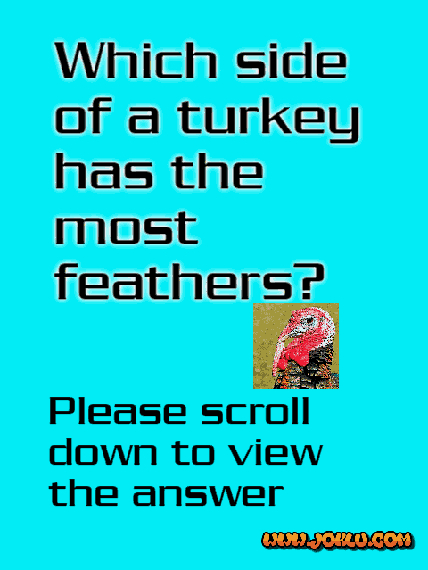 Which side of a turkey has the most feathers riddle